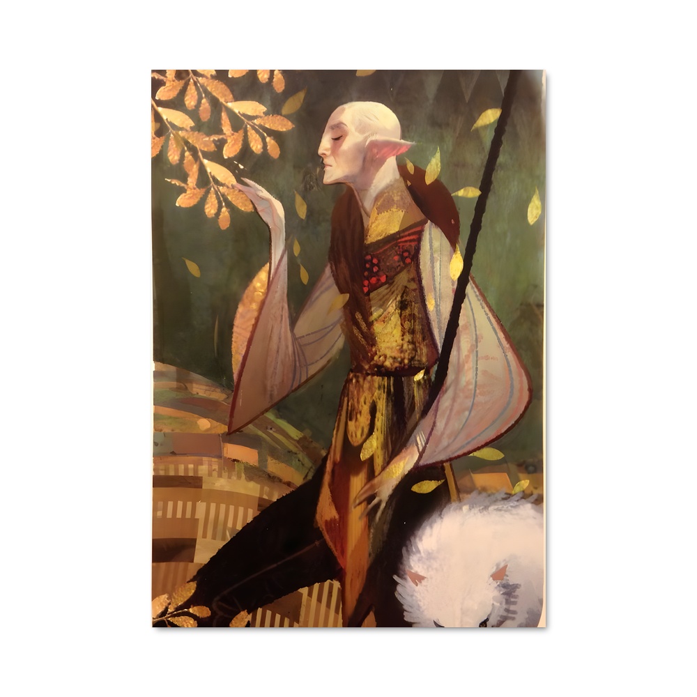 Poster L'Élégance des Dragons – affiche Dragon age